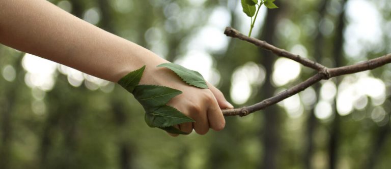 Emergenza inquinamento: quando sostituire la caldaia